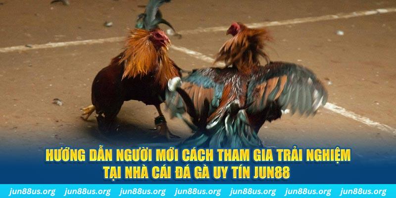 win99 club CQ9 Điện Tử