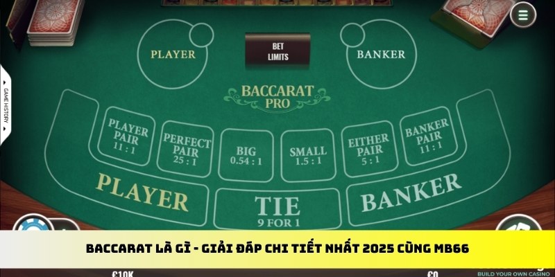 win99 club gà chọi cu cần
