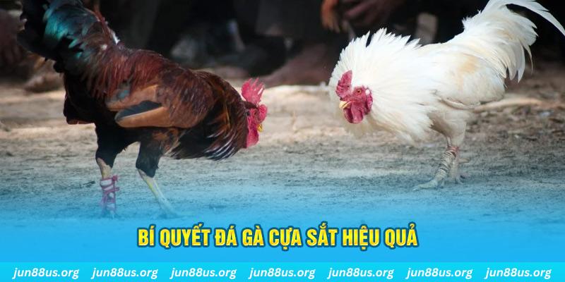 win99 club xin 1 slot là gì
