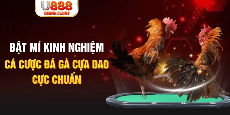 win99 club tỷ lệ cá cược châu á là gì