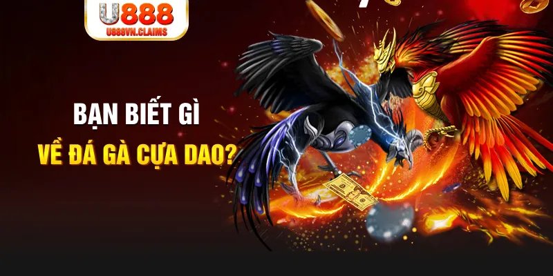 win99 club nổ hủ là gì