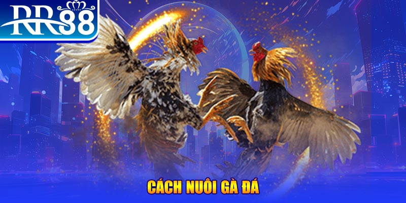 win99 club xổ số an giang