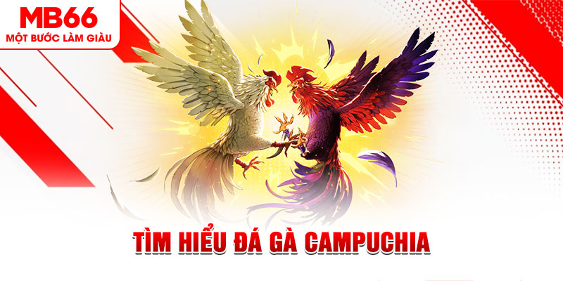 win99 club đá gà trực tiếp