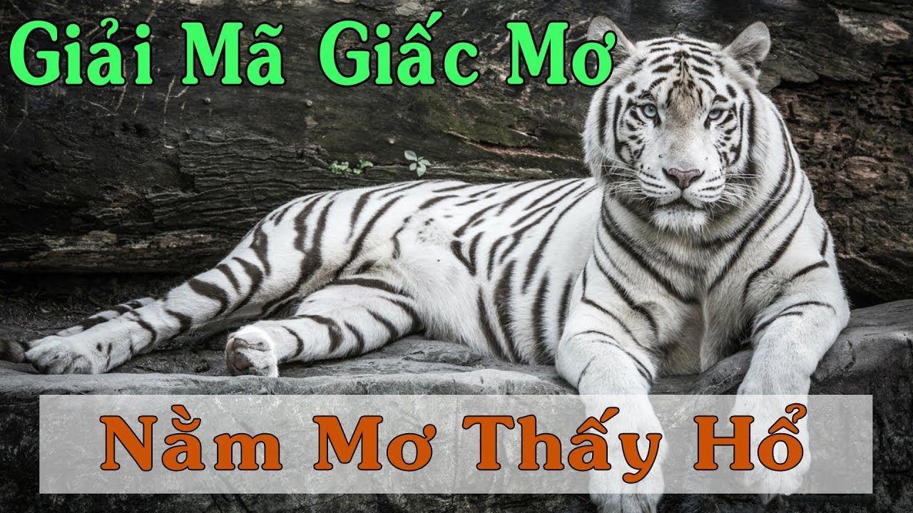 win99 club xổ số 3 miền