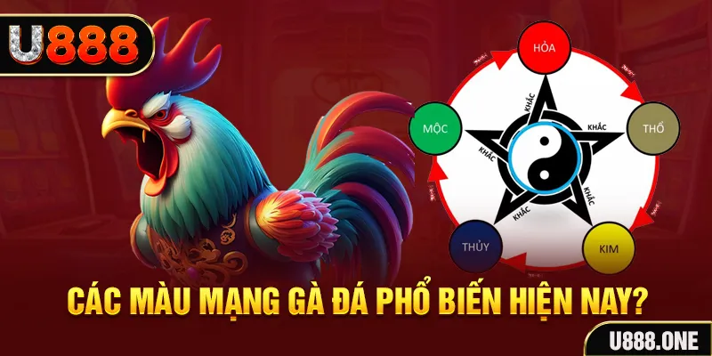 win99 club trực tiếp đá gà 88