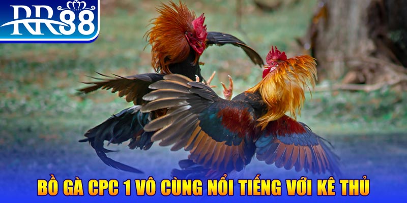 win99 club game máy bay nổ hũ