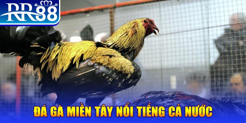 win99 club JILI Game Bài 3d