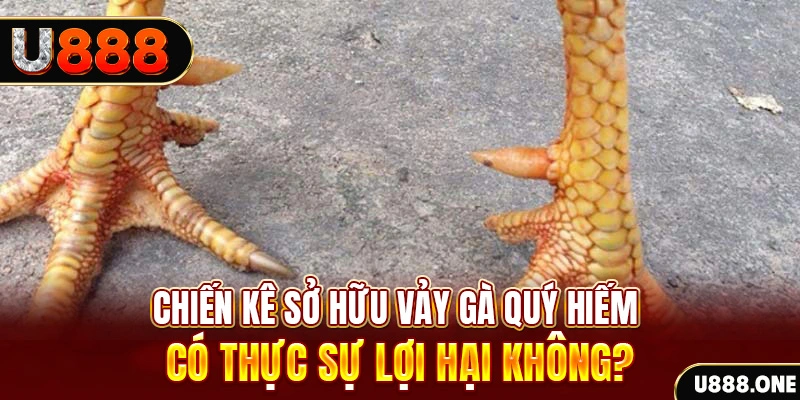 win99 club nohu .mx nổ hủ là gì