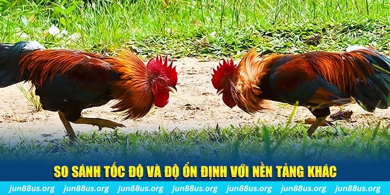 win99 club đá gà hôm nay