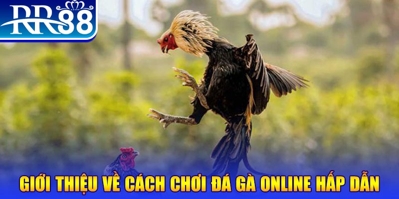 win99 club game nổ hũ rút tiền mặt là gì