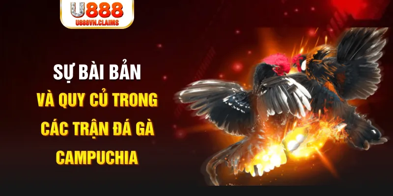 win99 club YGR Điện Tử
