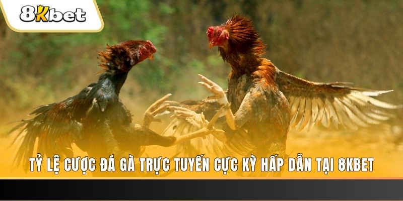 win99 club đăng nhập phỏm trực tiếp