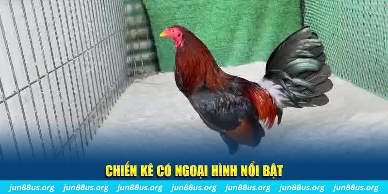 win99 club chạy quảng cáo cho game bài bị phạt như thế nào