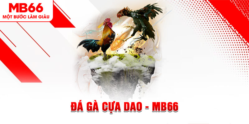 win99 club đá gà sv388 gold
