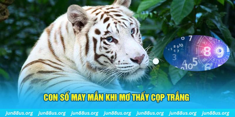 win99 club đá gà trực tiếp 88
